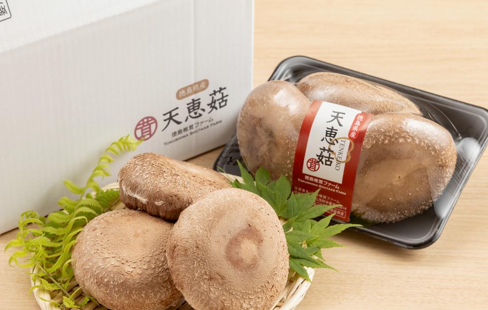 化粧箱に収まる肉厚な天恵菇