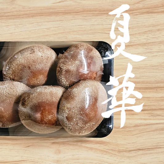 【予約割】天恵菇後継種「三ツ星しいたけ夏華」300g×2パック