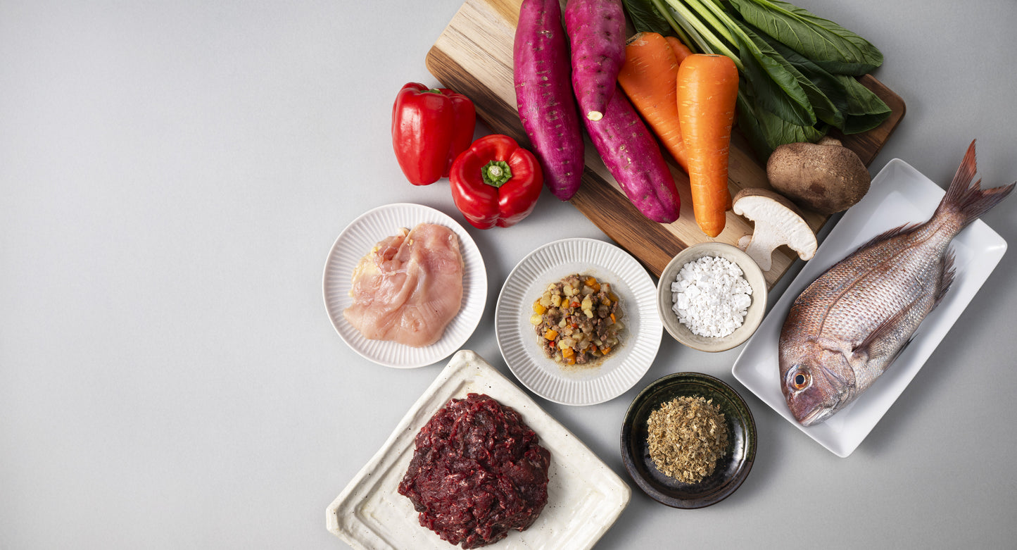 【天恵菇入り】わんちゃん・ねこちゃんのごちそう「ペロッとワン」無添加・手作り（阿波尾鶏 / 真鯛 / ジビエ）