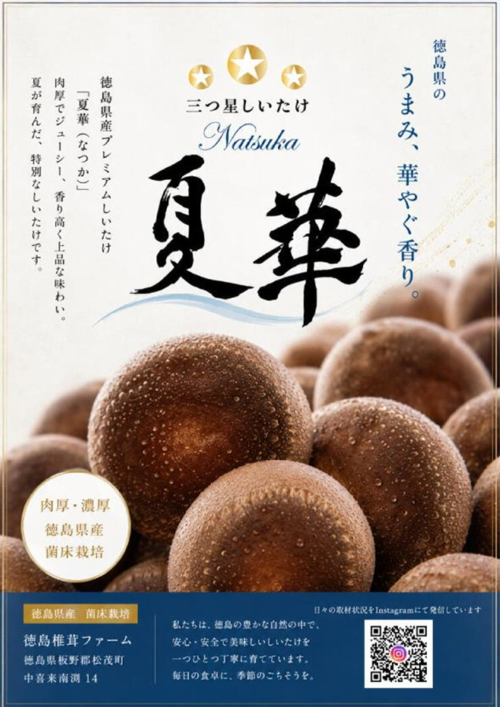 三ツ星しいたけ夏華｣サイズMIX 1kg – tokushimashiitakefarm