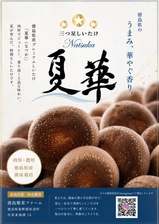 ｢三ツ星しいたけ夏華｣サイズMIX 1kg